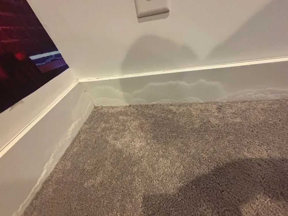 Basement water extraction at a Nashville home by Renew Restoration