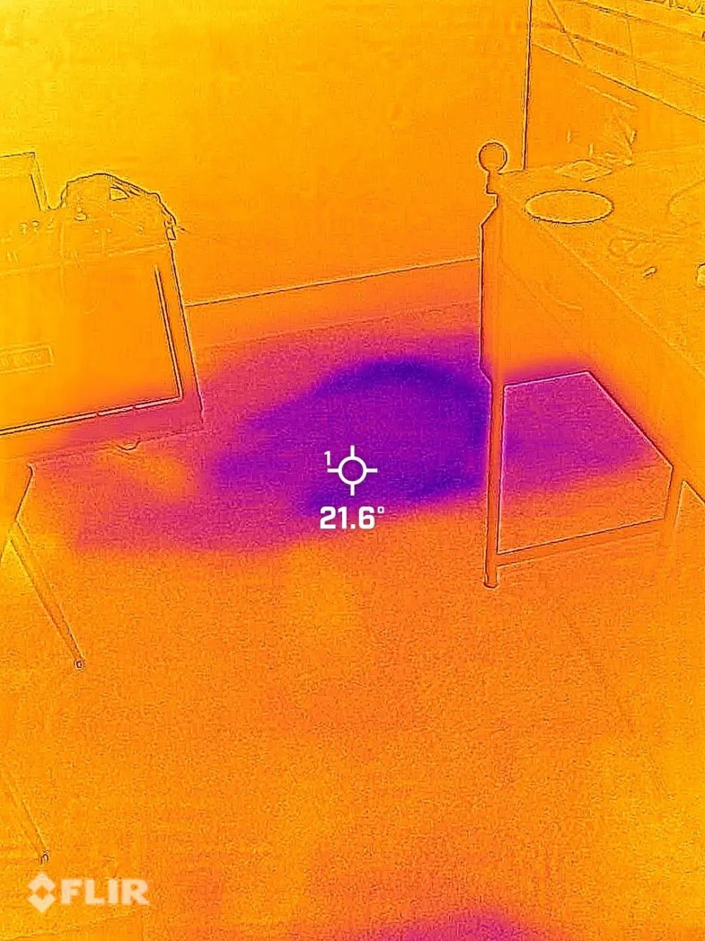 Moisture inspection in Bellevue, Nashville TN by Renew Restoration