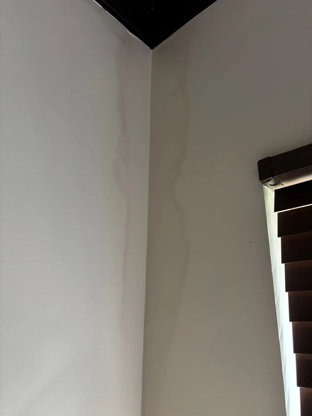 Moisture inspection in Downtown Nashville, Nashville TN by Renew Restoration