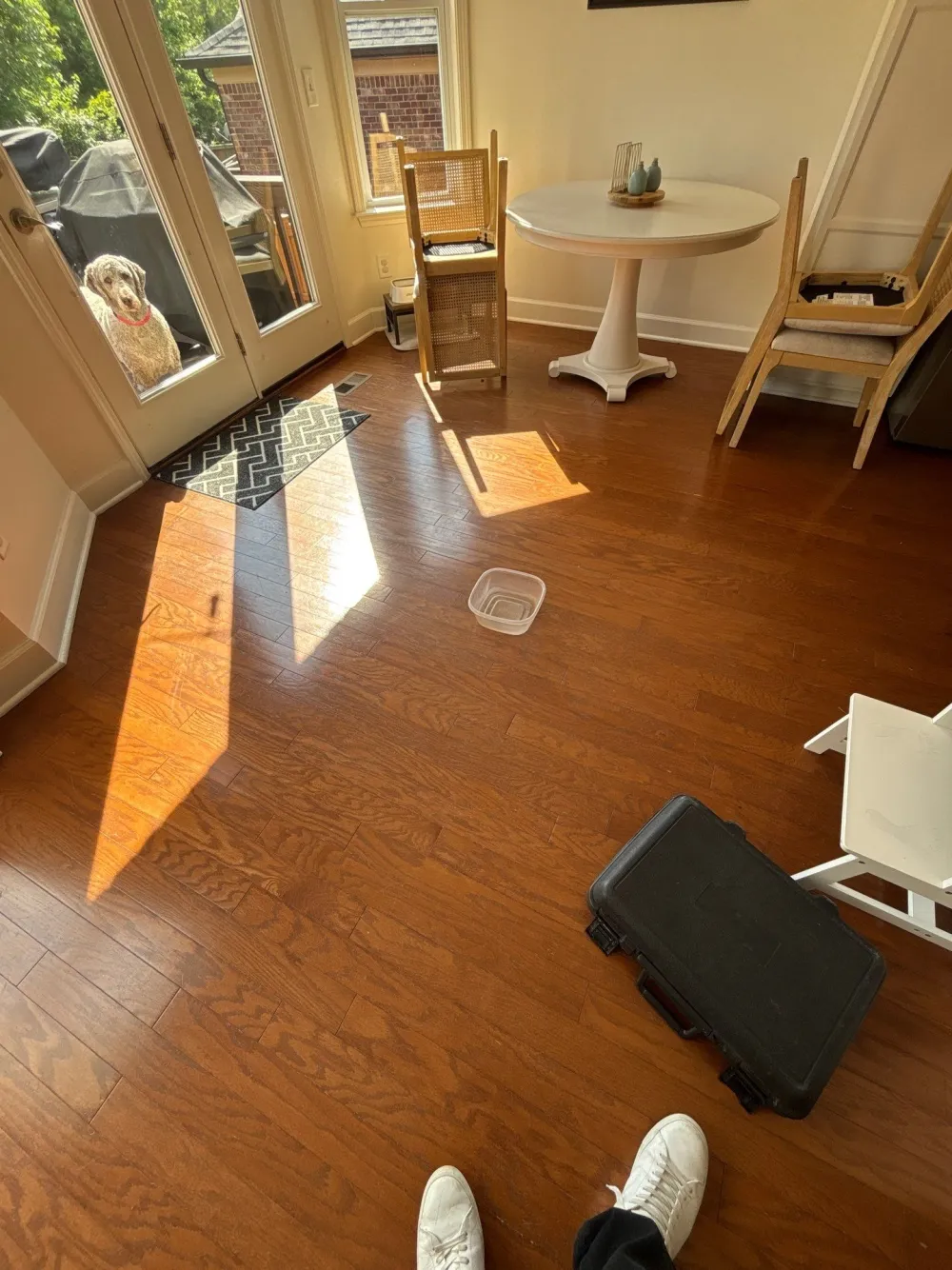 Moisture inspection in Franklin, Nashville TN by Renew Restoration