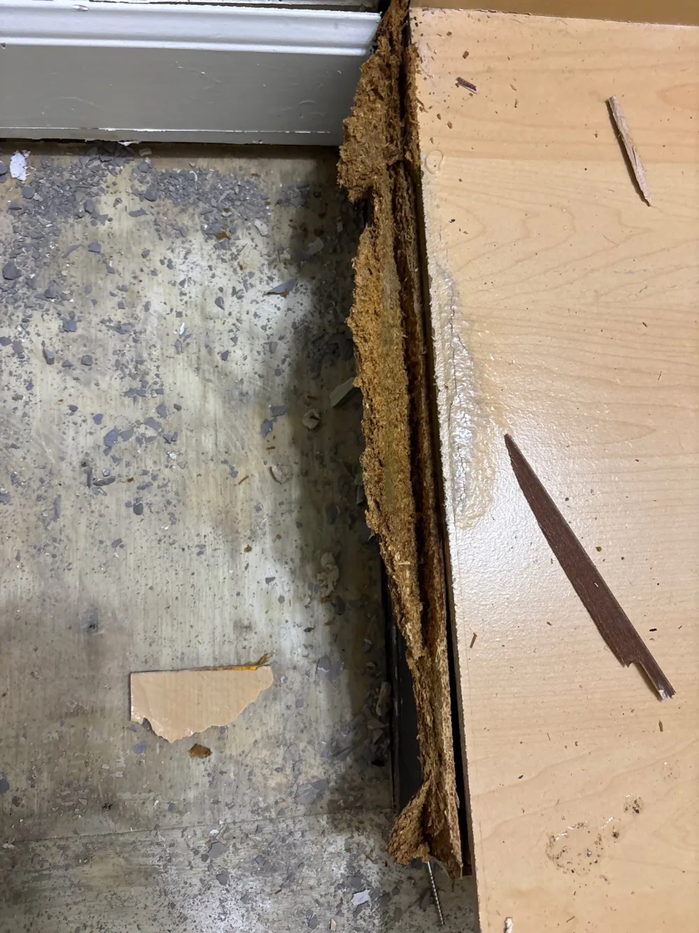 Water damage restoration in Green Hills, Nashville TN by Renew Restoration