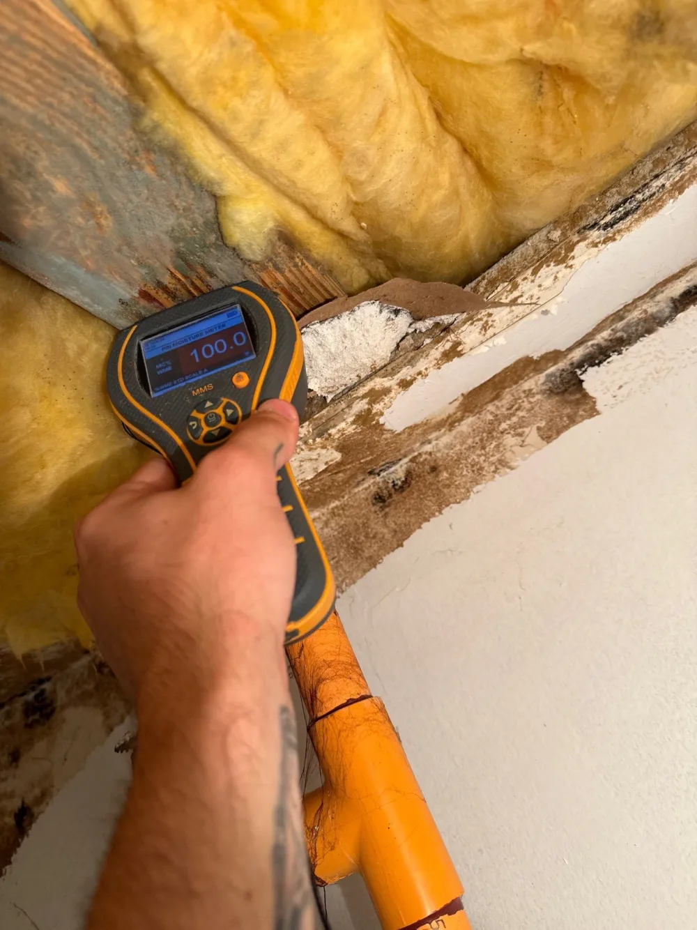 Renew technician using a moisture meter to trace a hidden water leak in a Nashville home
